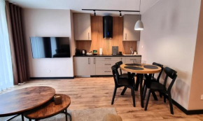 Apartamenty przy Tężni